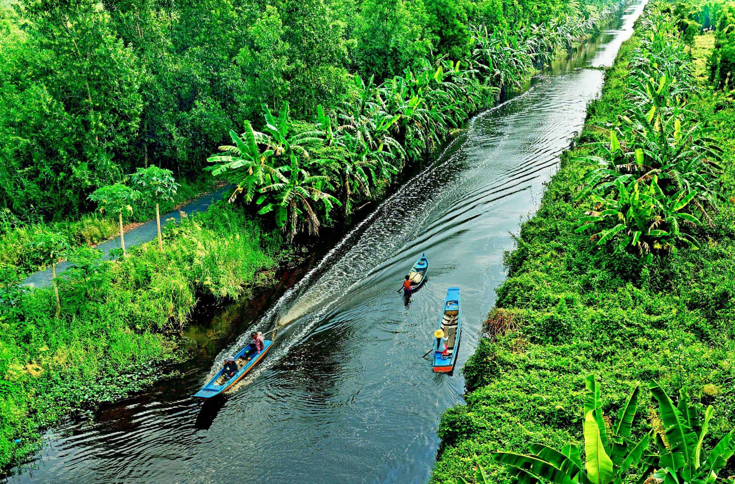 Journey Through the Heart of Mekong Delta Life (Exclusive)