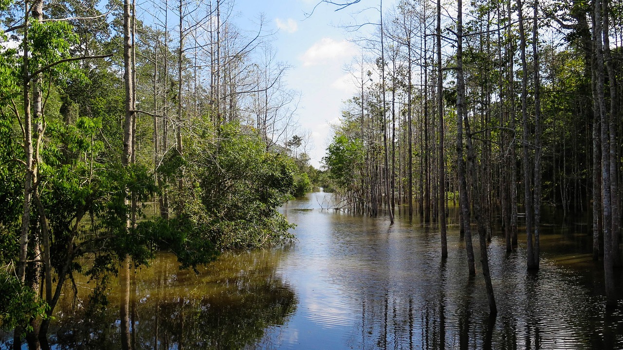Nature and Adventure in Cambodia
