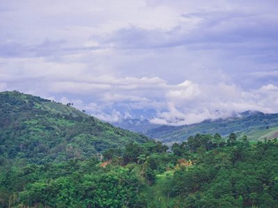 nopparuj-lamaikul-rFvVDopaL6E-unsplash