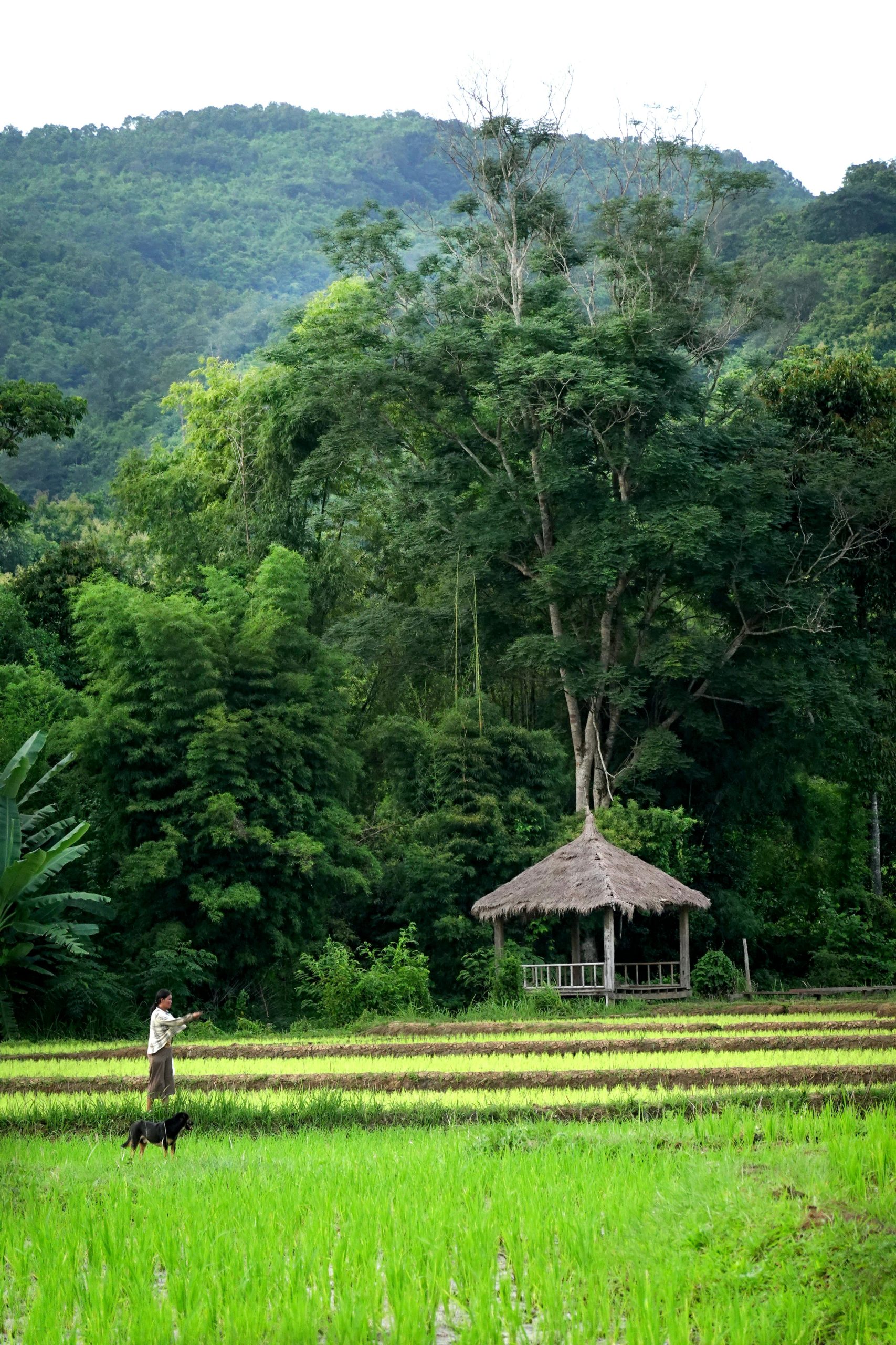 Epic Adventure Through Laos and Cambodia