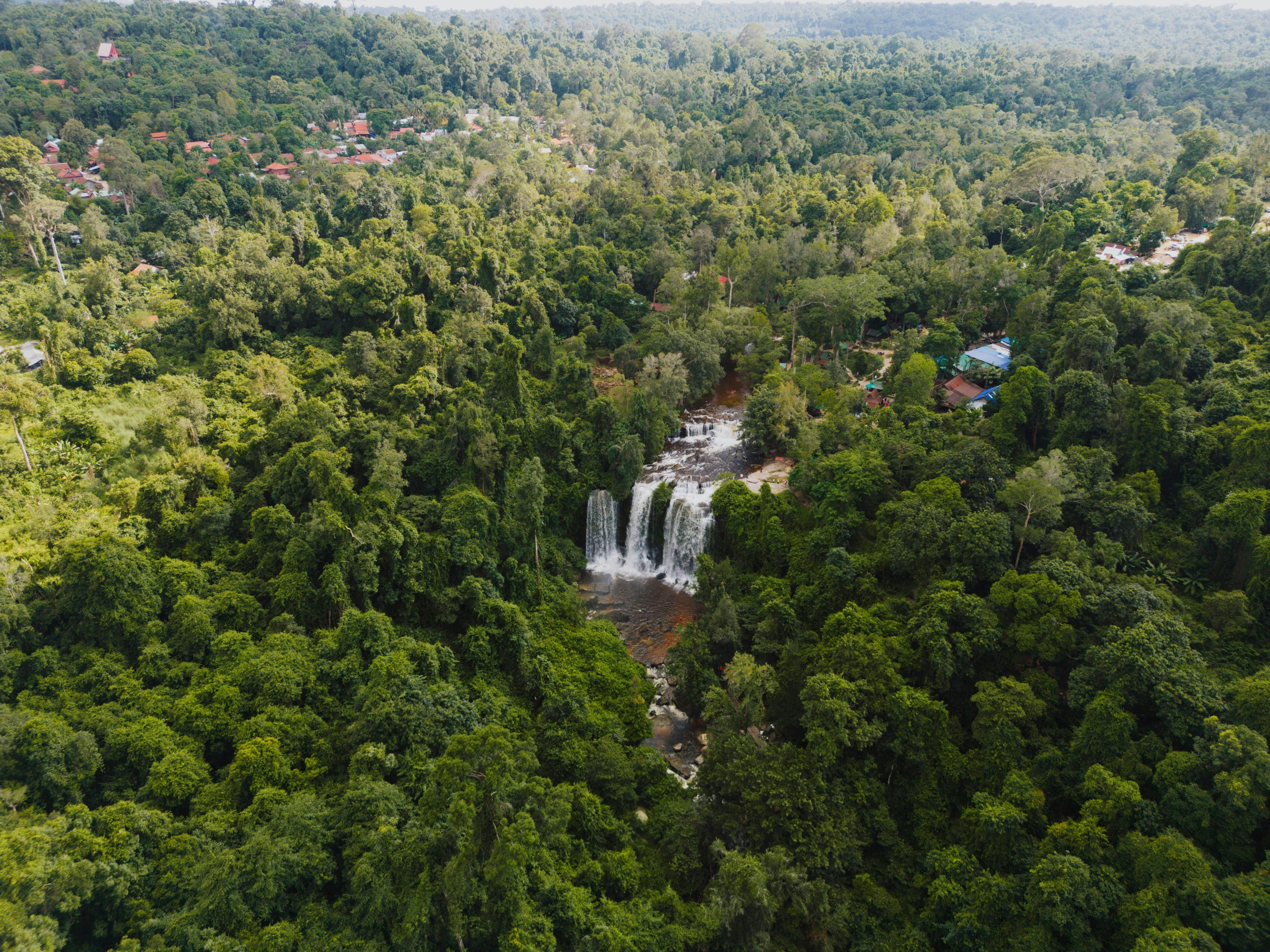 Jungle Trekking & Camping in Cambodia