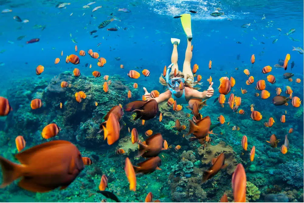 Island Escape: Snorkeling and Relaxation